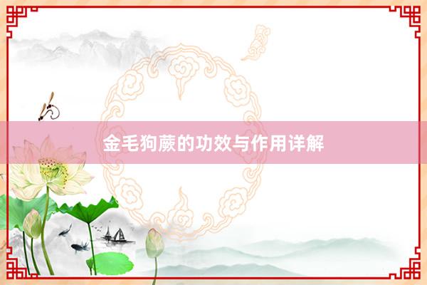 金毛狗蕨的功效与作用详解