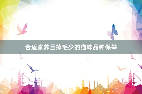 合适家养且掉毛少的猫咪品种保举