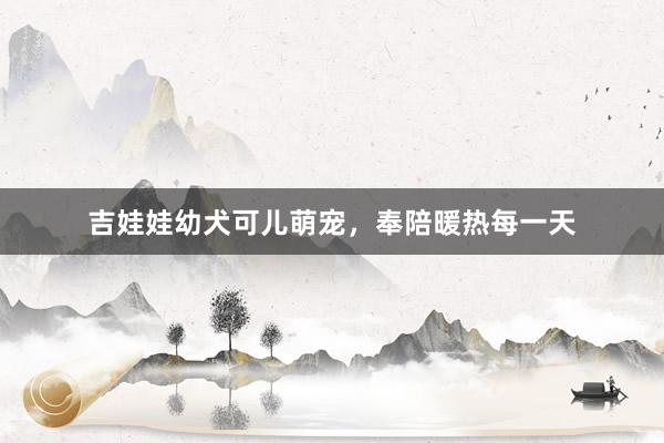 吉娃娃幼犬可儿萌宠，奉陪暖热每一天