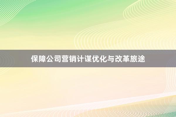 保障公司营销计谋优化与改革旅途