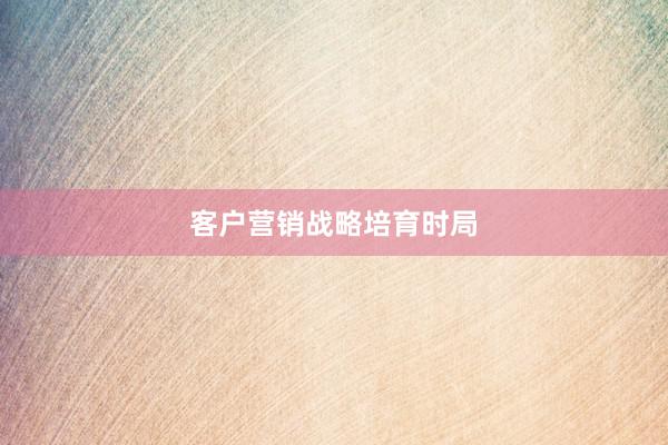 客户营销战略培育时局